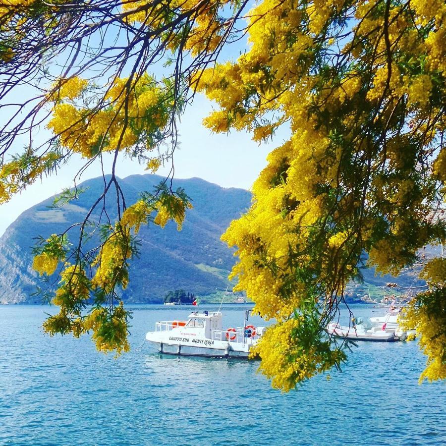 Irina'S House With View On Like And Swimming Pool Apartamento Riva di Solto Exterior foto